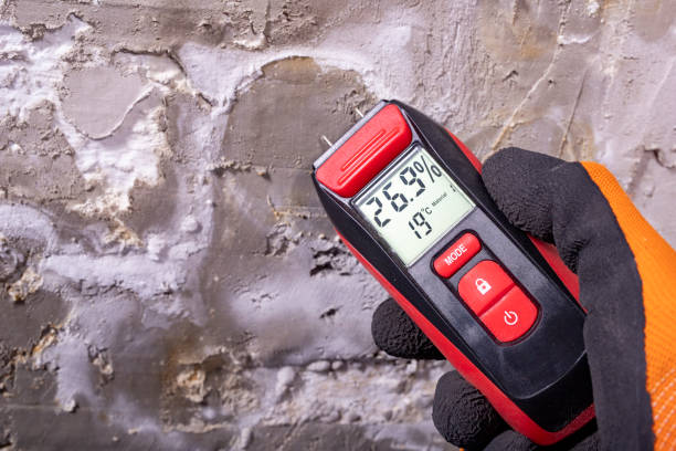 Best Health and Safety Mold Remediation in Towanda, KS